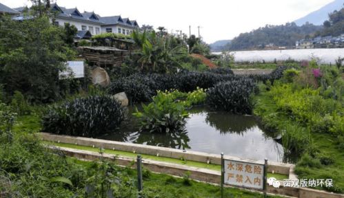 勐海縣 以農(nóng)村污水治理為筆，繪就美麗鄉(xiāng)村新畫(huà)卷